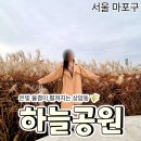 공원로 15길 | [공지] 마포 하늘공원 후기｜가을 하늘과 은빛 억새길 감성 산책 (feat.맹꽁이 열차)