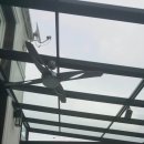 삼성전원 이미지