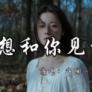 양란이(洋澜一, Yang Lanyi)**의 **'상화니견일면(想和你见一面 - 너와 만나고 싶어)'** 이미지