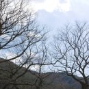 두모농장 이미지