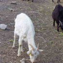 운기네 민박 이미지