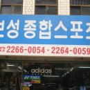 보성종합스포츠