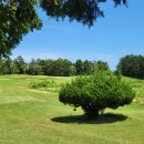 중문골프장CC 이미지