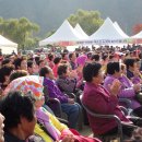 정선 공설운동장 이미지