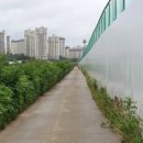 보도중로2-4 이미지