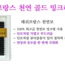골드래쉬 이미지