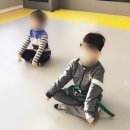 용인대한울태권도 이미지