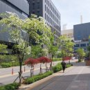 안양천서로 프레시안
