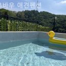 바우바우애견펜션 이미지