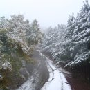 11월26일(일욜) 올겨울 첫 남한산성 등산벙개~일정사항추가 이미지