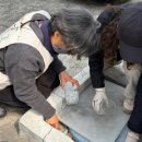 납부필증 네이버블로그