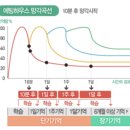 안성여자중학교 이미지