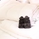 사계절컴퓨터세탁 이미지