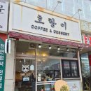 호랑이카페인 | 안산 초지동 카페 [호랑이 카페]솔직후기 /커피 맛집/내돈내산
