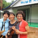 조개에 빠진 칼국수 Daum카페