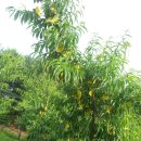 참새골농장 이미지