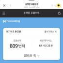 이브애견샵 | 2026_8월 일상