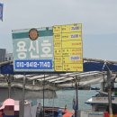 회뜨는서산 | 서산 삼길포항 선상횟집 배에서 회뜨는 선상어시장 & 가성비 초장집 가격 후기