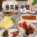 (주)파란오이 | 부산 남구 용호동 돼지수육 ‘수양’ 후기