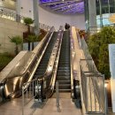 아라마크(주)롯데아울렛김해점 | [김해] 장유 롯데아울렛 도쿄붕어빵 내돈내산 솔직후기