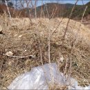 내곡농장 이미지