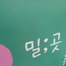 밀;곳