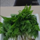 한아름실버케어센터 이미지