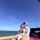 발레드무이 - 수원시 영통구 광교중앙로 145 | 베트남 무이네 현지 지프 사막 투어 후기, 좋았던 점과 꼭 주의할 점