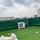 멍머니 2호점 이미지