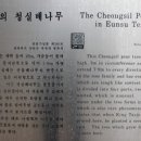 청실문구