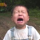 UR(부산광역시)-[강변대로]-하-16 | 16주차