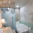 스테이 봄 이미지