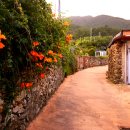 청산도 돌담민박 이미지