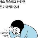 백퍼다 이미지