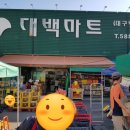 대백마트-다사