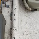 신흥포목
