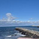 으뜸카서비스 | 제주공항 근처 흑돼지 맛집 재방문하고 싶은 곳 제주으뜸흑돼지