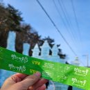 충남 겨울 여행지 추천, 청양 알프스마을 칠갑산 얼음분수축제 후기(feat. 주차, 포토존 위치)