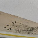 효제길 | [춘천 누수보수] 퇴계동 중앙하이츠빌 1단지, 주방 싱크대 천장 누수 완벽 해결 후기