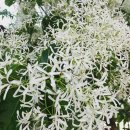 광주동운초등학교 이미지