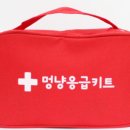 멍냥 동물병원 이미지