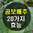 곰보