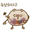 신의주찹쌀순대 이미지