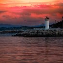 영동농협 하늘과바다사이 이미지