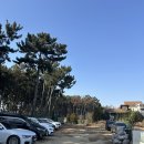 마검포힐링캠핑장 | [충청도 태안]마검포힐링캠핑장 3-5구역 후기