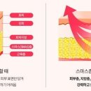 술이마시따