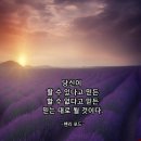 미시령관통도로주유소 | 15일은 모란 겨울눈이 봄을 준비하고 있는 동안 미시령에서 울산바위 올려다보고 금강산 화암사에서...