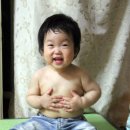 뚱이양이