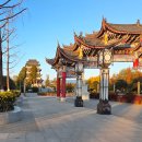 Black Swan 이미지