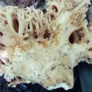 빈이농장 이미지